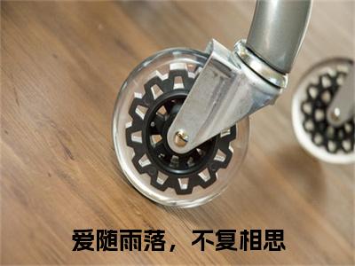 （书荒必看）爱随雨落，不复相思小说TXT无套路阅读