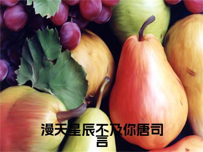 新章速递沐南笙唐司言是什么小说(漫天星辰不及你唐司言)完本阅读无广告（漫天星辰不及你唐司言）
