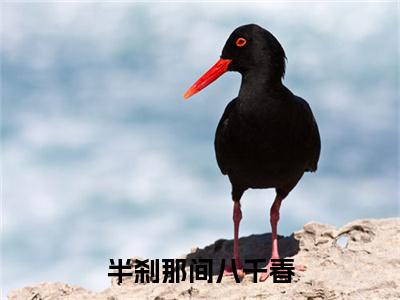 郁惹云姬泓章续集(郁惹云姬泓章)终极反转（半刹那间八千春）全篇一口气阅读