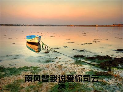 精选热门小说南风替我说爱你司云溪（贺知砚司云溪）-（贺知砚司云溪）南风替我说爱你司云溪免费阅读