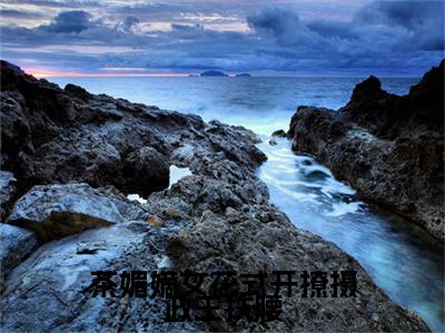 独家茶媚嫡女花式开撩摄政王扶腰无删减(白清欢池暝)（茶媚嫡女花式开撩摄政王扶腰）TXT免费版阅读