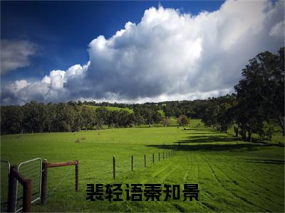 秦知景裴轻语小说（裴轻语秦知景）全文免费阅读_（裴轻语秦知景）秦知景裴轻语小说最新章节列表
