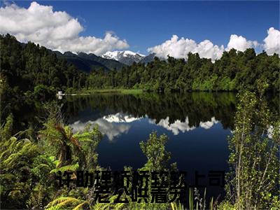 (番外)+(全文)霍西临许清岁（许助理娇娇软软上司老公哄着宠：结局+番外）全文免费阅读无弹窗大结局_(霍西临许清岁)最新章节列表_笔趣阁（许助理娇娇软软上司老公哄着宠：结局+番外）