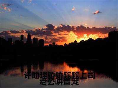 霍西临许清岁小说(霍西临许清岁)（许助理娇娇软软上司老公哄着宠）完整章节列表_笔趣阁