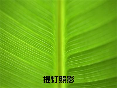 (提灯照影：结局+番外)经典书荒必读(方照影方建新)全文免费阅读无弹窗大结局_提灯照影：结局+番外最新章节列表_笔趣阁方照影方建新