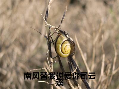 贺知砚司云溪是什么小说(南风替我说爱你司云溪)（贺知砚司云溪）全本完整清爽版在线+无广告结局