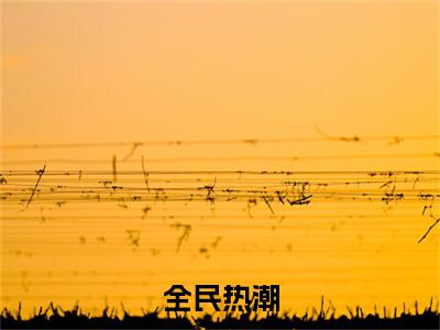 最新章节全民热潮前文（林海）_全民热潮前文林海最新章节
