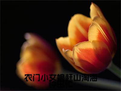 农门小女娘赶山淘海种田忙小说完结篇(宋安宁)（农门小女娘赶山淘海种田忙）全书无套路阅读无广告小说大结局