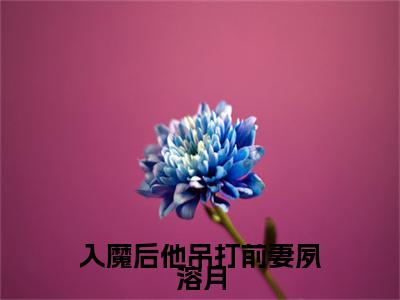 入魔后他吊打前妻夙溶月殊玄镜夙溶月彩蛋完整在线阅读（殊玄镜夙溶月）最近章节列表
