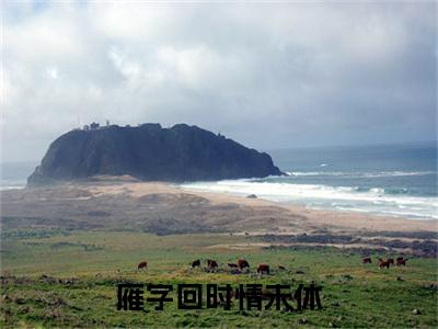雁字回时情未休小说完本章节前文+全篇阅读（秦桑谢亦）连载中
