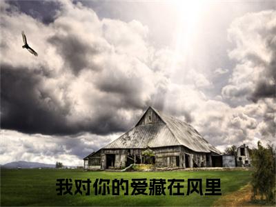 我对你的爱藏在风里电子书+番外篇章+（江清瑶傅屿风）免费版在线阅读