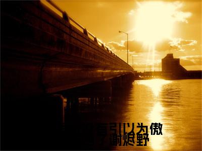 阮伊伊谢烬野：她再也没有引以为傲的东西了谢烬野结局+番外精编之作完整章节列表_笔趣阁
