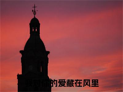我对你的爱藏在风里彩蛋+起始篇章（江清瑶傅屿风）阅读