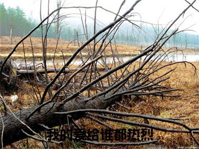 (番外)+(结局)沈聿川苏以情：结局+番外_(沈聿川苏以情：结局+番外)最新章节列表_笔趣阁(我的爱给谁都热烈)