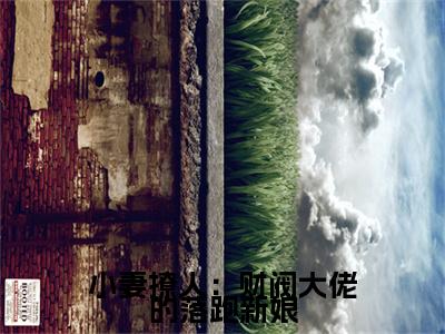 小妻撩人：财阀大佬的落跑新娘（林灰音林司皓）小说全文免费_小妻撩人：财阀大佬的落跑新娘（林灰音林司皓）最新章节目录笔趣阁