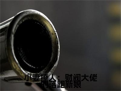 林灰音林司皓附加完整在线阅读（小妻撩人：财阀大佬的落跑新娘）最近更新列表