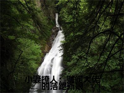 全网首发林灰音林司皓小说叫什么(小妻撩人：财阀大佬的落跑新娘)（林灰音林司皓）全书阅读纯净阅读