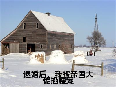 独家薄烬辰乔溪小说(退婚后，我被帝国大佬掐腰宠)（薄烬辰乔溪）电子书畅享阅读