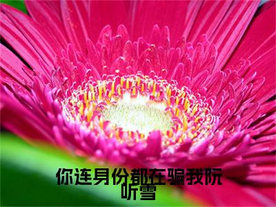 宋思远阮听雪(你连身份都在骗我阮听雪)（宋思远阮听雪）前传+阅读全新作品预订