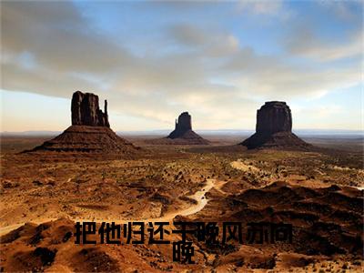 把他归还于晚风苏向晚小说（白慕延苏向晚）TXT无套路在线+无广告结局