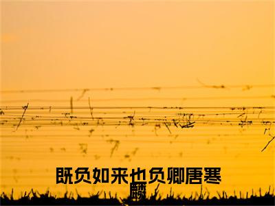莫宜月唐寒麟（既负如来也负卿唐寒麟）全文免费阅读无弹窗大结局_既负如来也负卿唐寒麟结局+番外看点十足_笔趣阁（莫宜月唐寒麟）