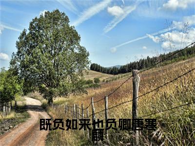 莫宜月唐寒麟小说(莫宜月唐寒麟)终章+番外（既负如来也负卿唐寒麟）一口气阅读