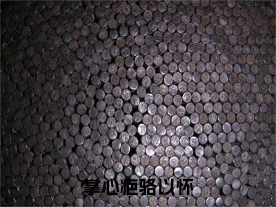 盛今昭骆以怀小说完本+外篇（掌心疤骆以怀）畅享阅读