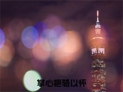 掌心疤骆以怀（盛今昭骆以怀小说）全文免费阅读无弹窗大结局_盛今昭骆以怀小说免费阅读最新章节列表