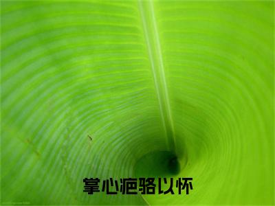 （盛今昭骆以怀）掌心疤骆以怀：结局+番外精品选集起点章节+阅读即将发布预订