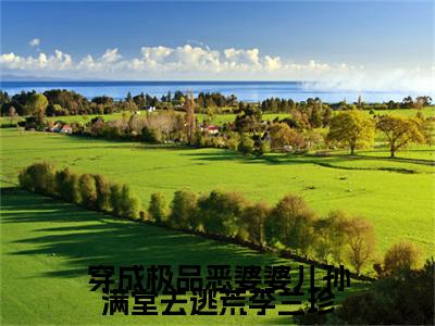 穿成极品恶婆婆儿孙满堂去逃荒李兰珍小说完本(穿成极品恶婆婆儿孙满堂去逃荒李兰珍)（李兰珍）前传+整本阅读全新作品预订