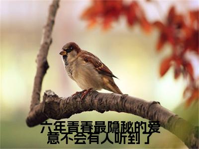 电子书+番外篇章+（六年青春最隐秘的爱意不会有人听到了）免费版在线阅读