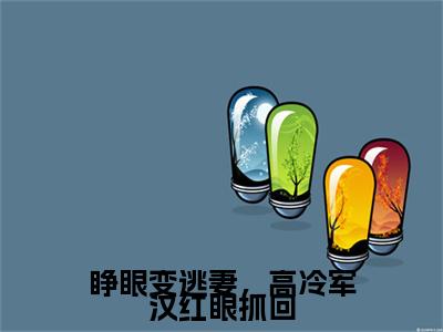 终章小说睁眼变逃妻，高冷军汉红眼抓回小说(睁眼变逃妻，高冷军汉红眼抓回)已更新+番外篇章（沈清欢冯炽）无广告