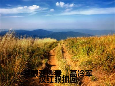 热文推荐睁眼变逃妻，高冷军汉红眼抓回小说（沈清欢冯炽）前传列表