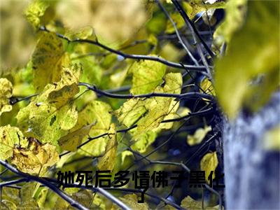 （薄砚尘方忆玫）薄砚尘方忆玫(她死后多情佛子黑化了)无套路无弹窗全部章节列表