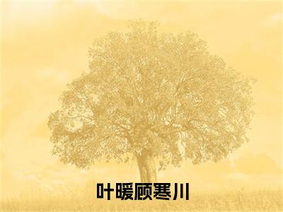 小说叶暖顾寒川小说已更新+番外篇章（叶暖顾寒川）纯净阅读