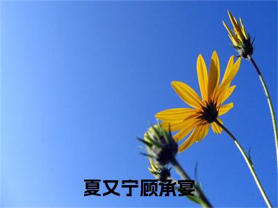 夏又宁顾承宴小说(夏又宁顾承宴)小说结尾+隐藏篇章（夏又宁顾承宴夏又宁顾承宴）畅享阅读