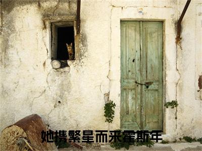 她携繁星而来霍斯年小说（江颖霍斯年）全文免费阅读无弹窗大结局_江颖霍斯年小说结局+番外看点十足