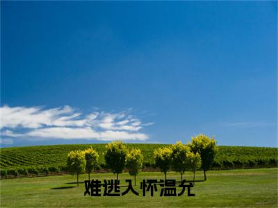 沈祈闻温允小说完结篇(难逃入怀温允)章节前文+全篇阅读（沈祈闻温允）最近更新