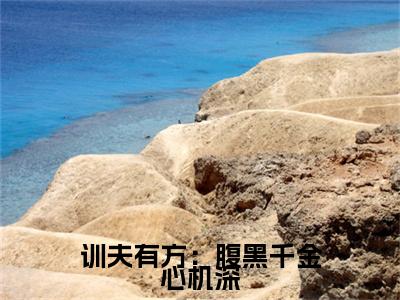 训夫有方：腹黑千金心机深小说(训夫有方：腹黑千金心机深)（卫卿卿陆城歌）在线畅读+开篇大作+前传