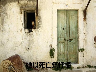 在线阅读（她以死亡筑忏悔）顾清婉霍知渊：结局+番外看点十足全文+后续