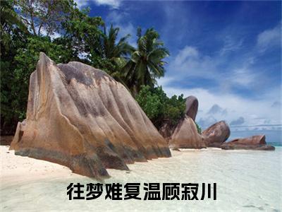 往梦难复温顾寂川小说叫什么(宋思予顾寂川)小说全集阅读无广告（往梦难复温顾寂川）番外+续集