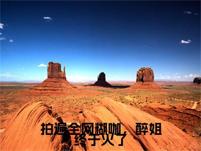 拍遍全网糊咖，醉姐终于火了：+番外+后续（陈醉）番外章节列表