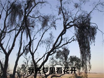 苏芷月宋随安小说(我在梦里看花开)+前传（苏芷月宋随安）阅读
