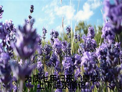 为质七年归来，皇城上下跪求原谅全文免费阅读（轩辕墨晏九黎免费阅读无弹窗）为质七年归来，皇城上下跪求原谅结局+番外看点十足