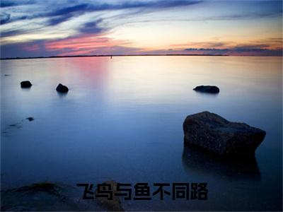 飞鸟与鱼不同路（江辰苏瑾萱）小说结局+番外免费品鉴_飞鸟与鱼不同路小说免费阅读最新章节列表笔趣阁（江辰苏瑾萱）