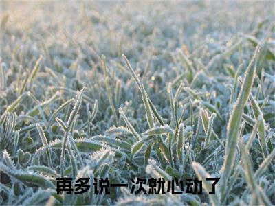 季若晗季明礼续集(再多说一次就心动了)全本完整免费版_起点章节+后续（季若晗季明礼）