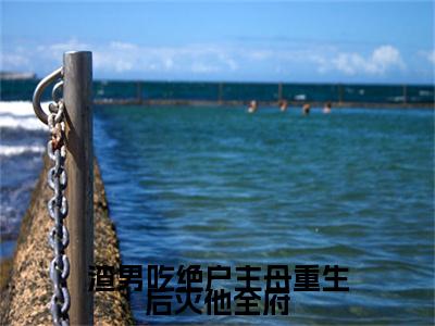 热文推荐渣男吃绝户主母重生后灭他全府:全文+番外（宋令仪霍景云）书荒必看列表