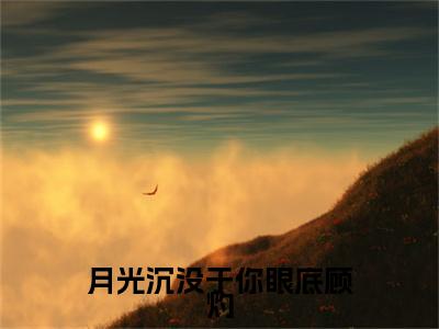 冷婉晴顾灼小说完本+外篇（月光沉没于你眼底顾灼）畅享阅读