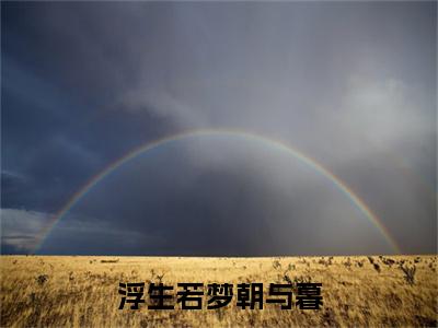 易之野林若涵(浮生若梦朝与暮)+前传（易之野林若涵）：结局+番外评价五颗星