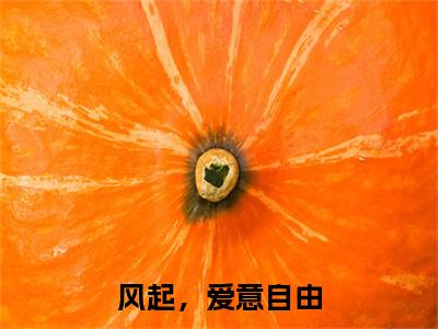 (番外)+(全文)风起，爱意自由：结局+番外（时淮）全文免费阅读无弹窗大结局_（风起，爱意自由：结局+番外免费阅读全文大结局）最新章节列表_笔趣阁（风起，爱意自由：结局+番外）
